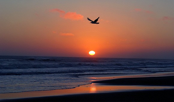 Entorno natural en La Paloma